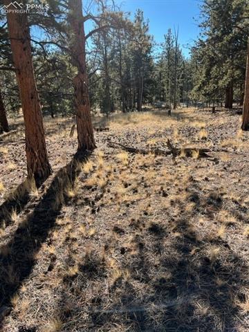 185 Haystack Road Hartsel, CO 80449 - Photo 4 of 15 Gallery Image 4