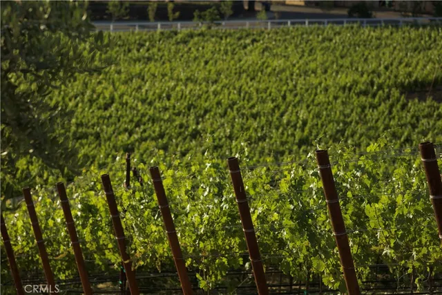 $30,000 | 2575 Park Street, Los Olivos, CA 93441