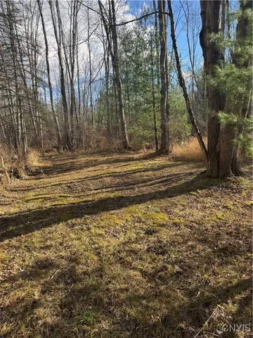 $14,900 | Rt-13 Street North, Blossvale, NY 13308