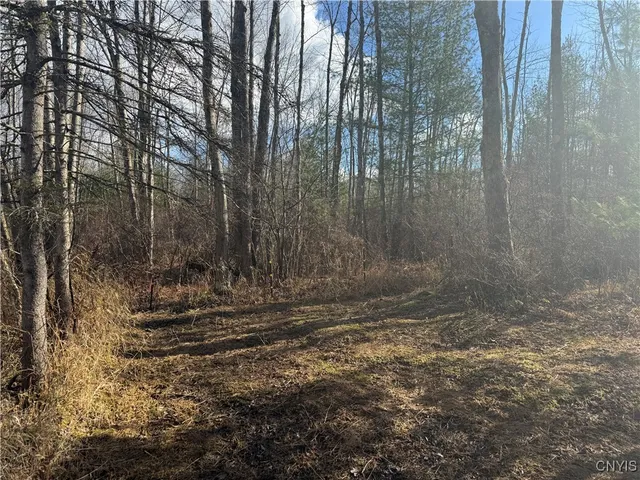 $14,900 | Rt-13 Street North, Blossvale, NY 13308