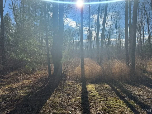 $14,900 | Rt-13 Street North, Blossvale, NY 13308