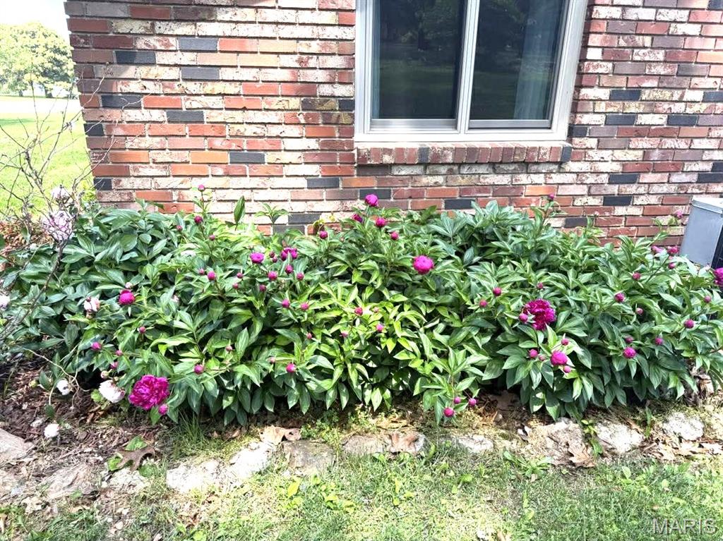 26541 Lake Shore Road Lebanon, MO 65536 - Photo 18 of 56