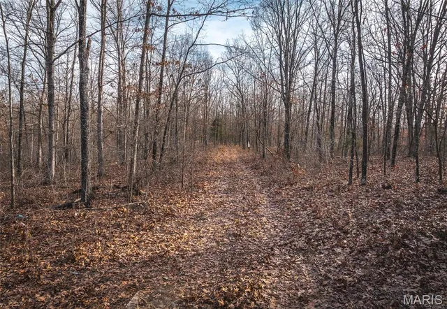 $153,975 | A Pipeline Road, Bourbon, MO 65441