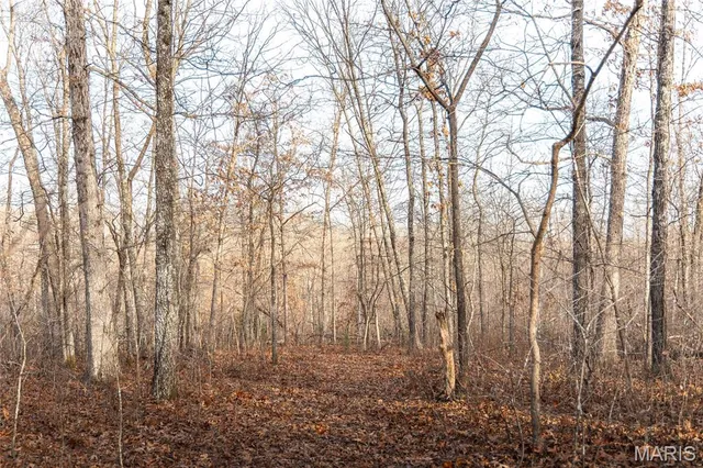 $153,975 | A Pipeline Road, Bourbon, MO 65441