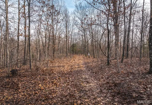 $153,975 | A Pipeline Road, Bourbon, MO 65441