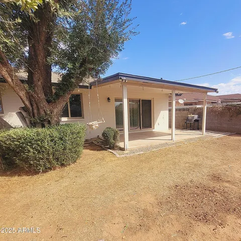 a view of a garden with plants