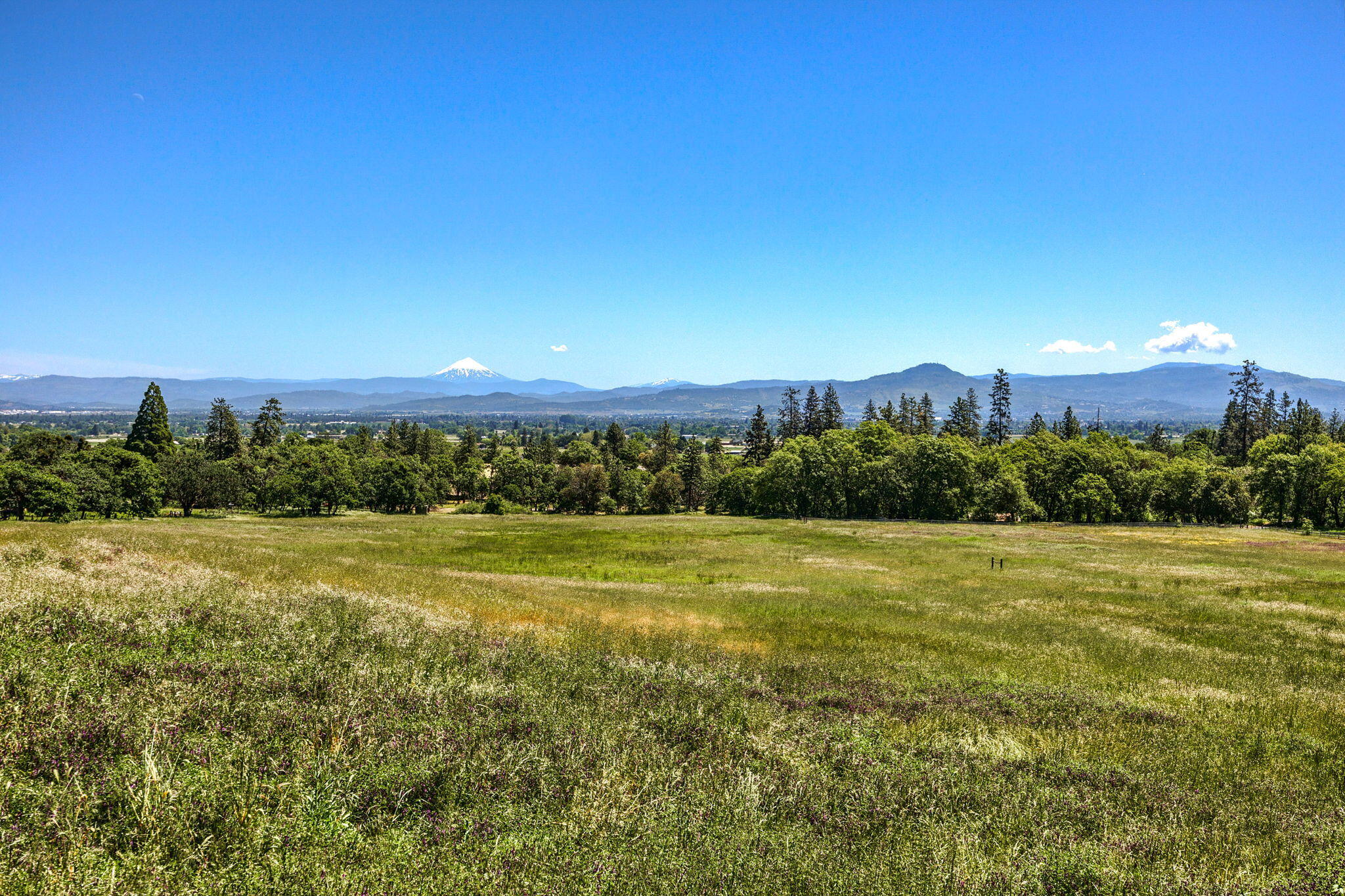 4640 Scenic Avenue Central Point, OR 97502 - Photo 73 of 97 SouthernOregon
