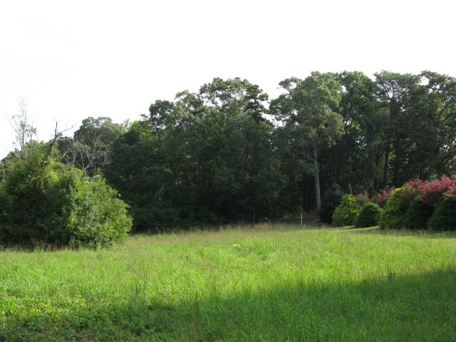 320 River Oak Road Inman, SC 29349 - Photo 4 of 5