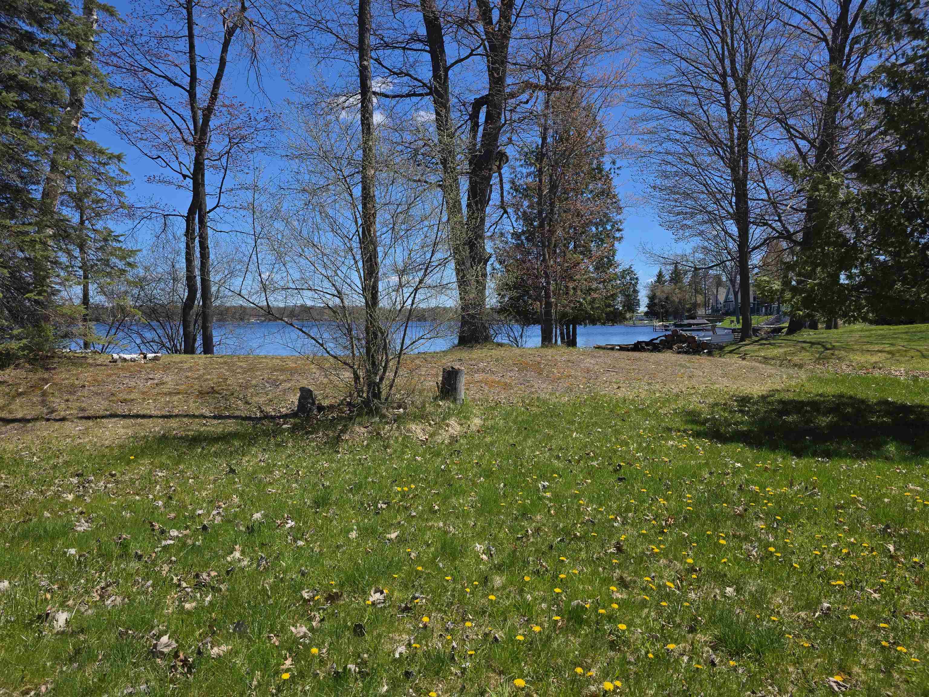0 Bliss Road Hale, MI 48739 - Photo 9 of 14