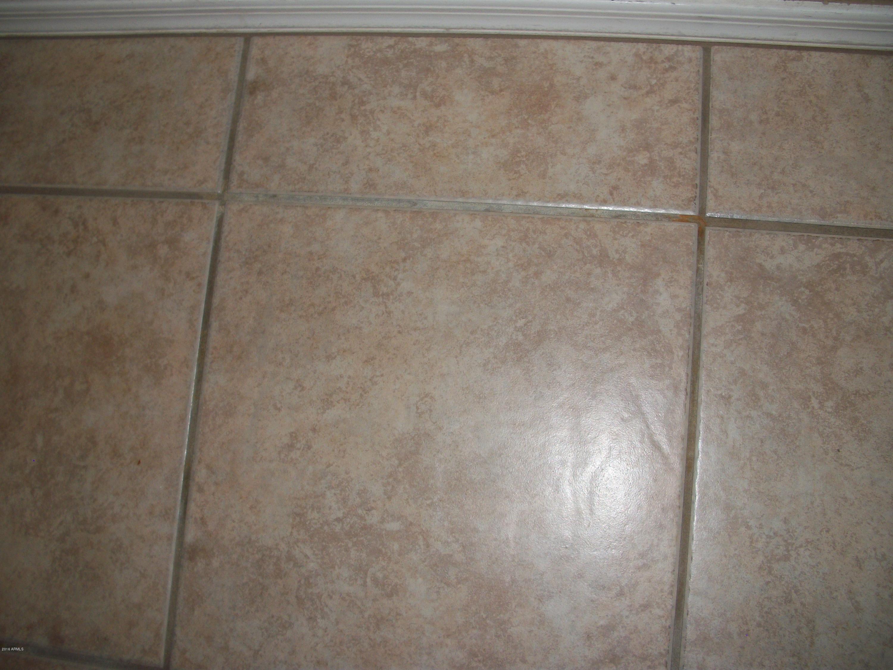 2111 North Rascon Loop Phoenix, AZ 85037 - Photo 5 of 39 100_4286