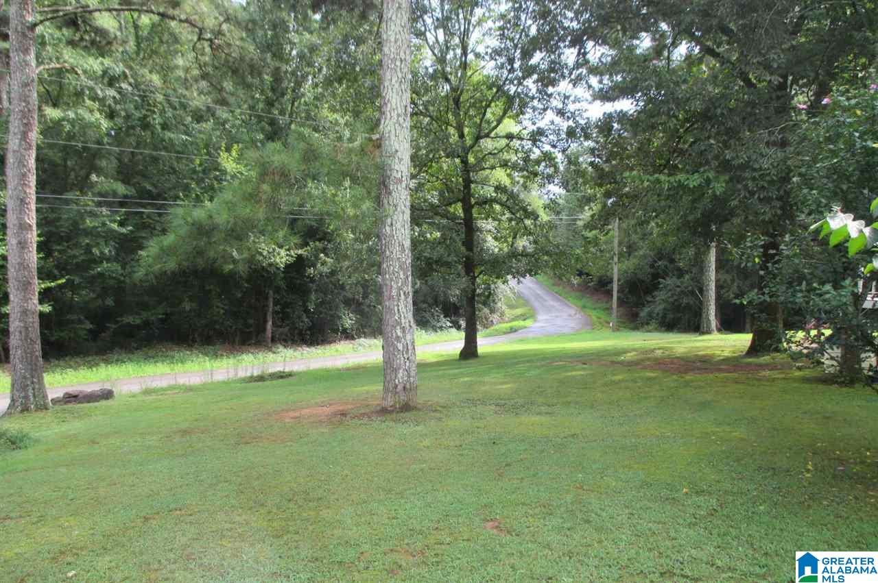1466 King Road Oneonta, AL 35121 - Photo 26 of 29