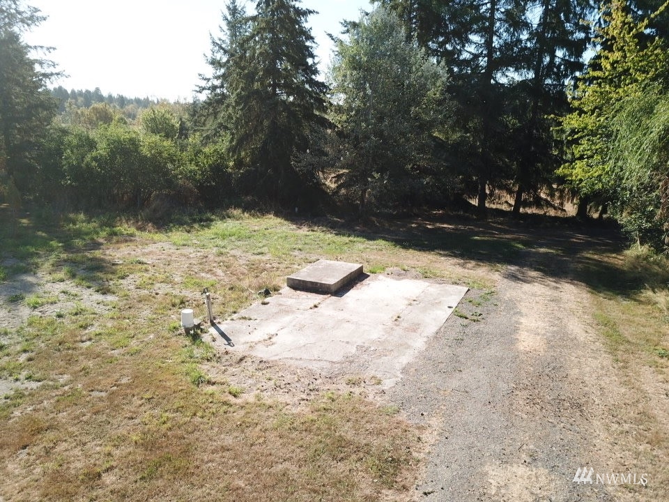 234 Boone Road Toledo, WA 98591 - Photo 22 of 33 a view of a yard with trees