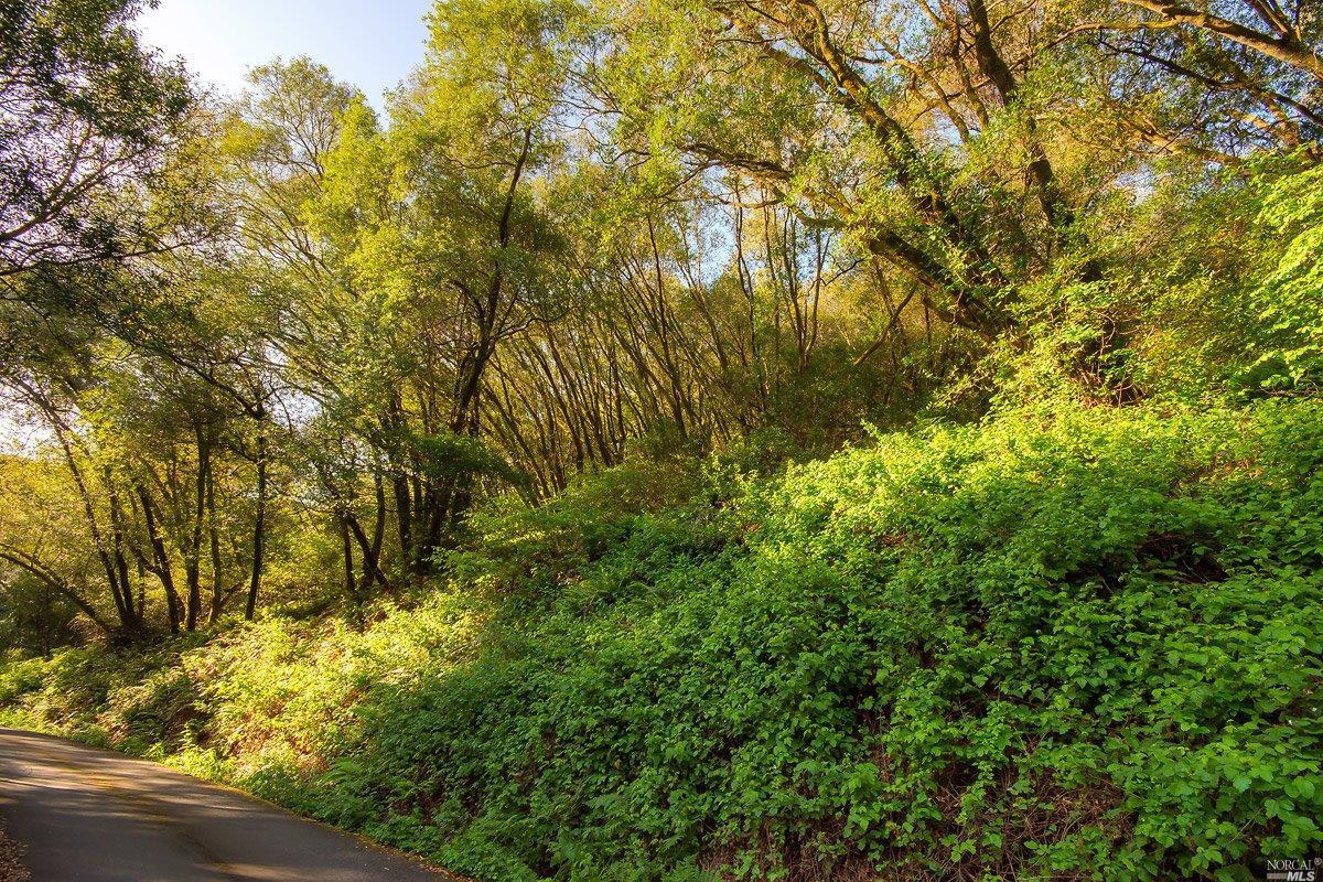 0 Laurel Canyon Road Nicasio, CA 94946 - Photo 1 of 1 Gallery Image 1