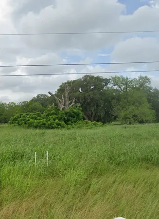 a view of a lush green field