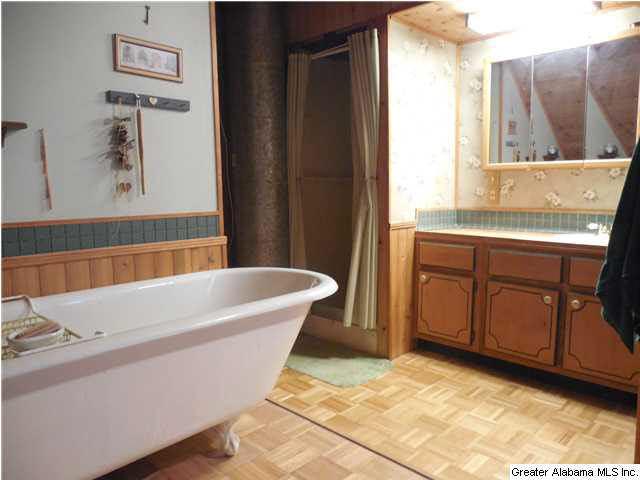 696 Kiniard Road Brent, AL 35034 - Photo 20 of 32