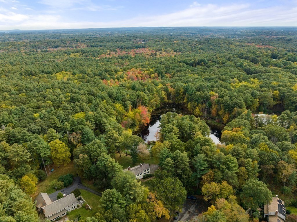 29 Forest Hill Road Wayland, MA 01778 - Photo 33 of 33 Gallery Image 33
