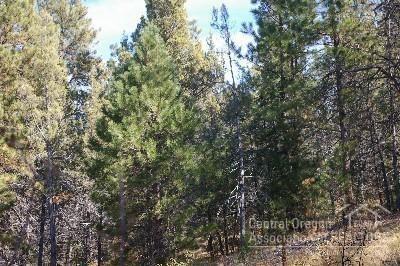 0 Southeast Thomas Road Prineville, OR 97754 - Photo 9 of 23 Additional Photo