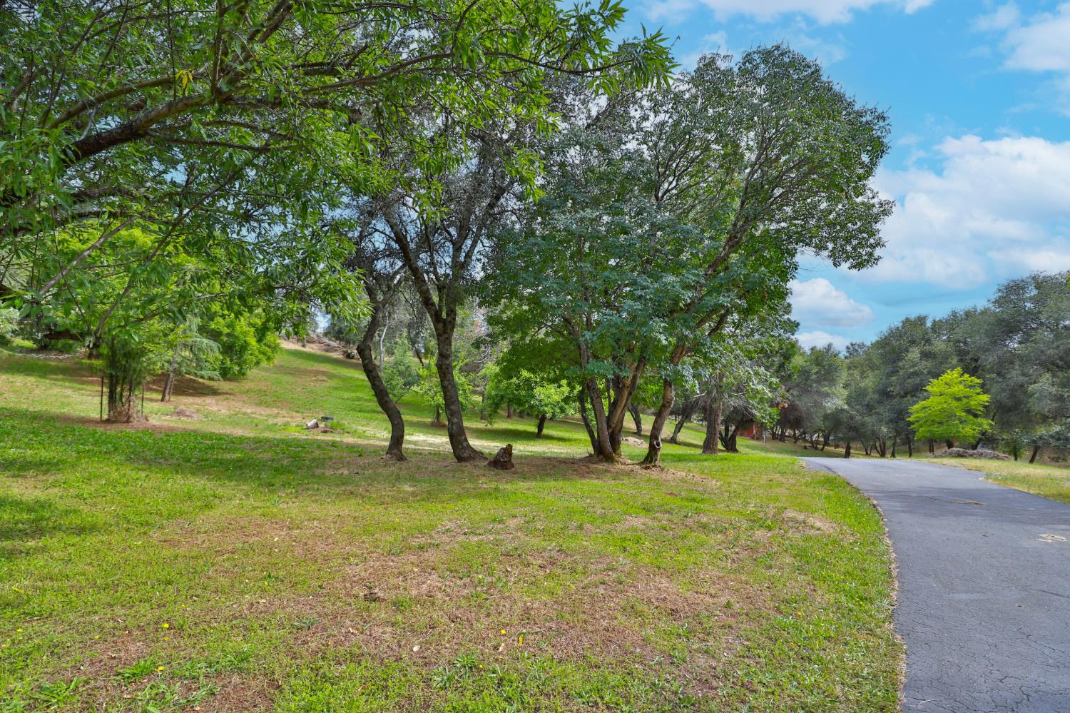 4773 Jacarah Road Placerville, CA 95667 - Photo 13 of 94