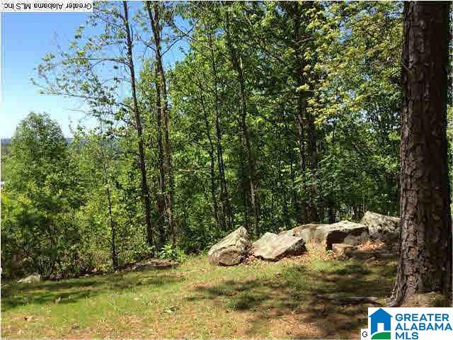 40 Shades Crest Road Birmingham, AL 35226 - Photo 28 of 32