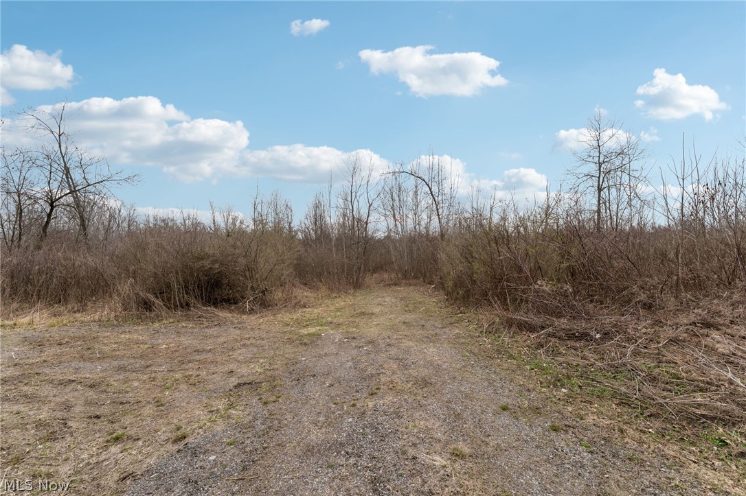 Center Road Lowellville, OH 44436 - Photo 5 of 28