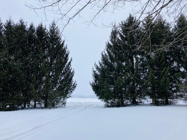 146 Conley Road Sherburne, NY 13332 - Photo 42 of 42