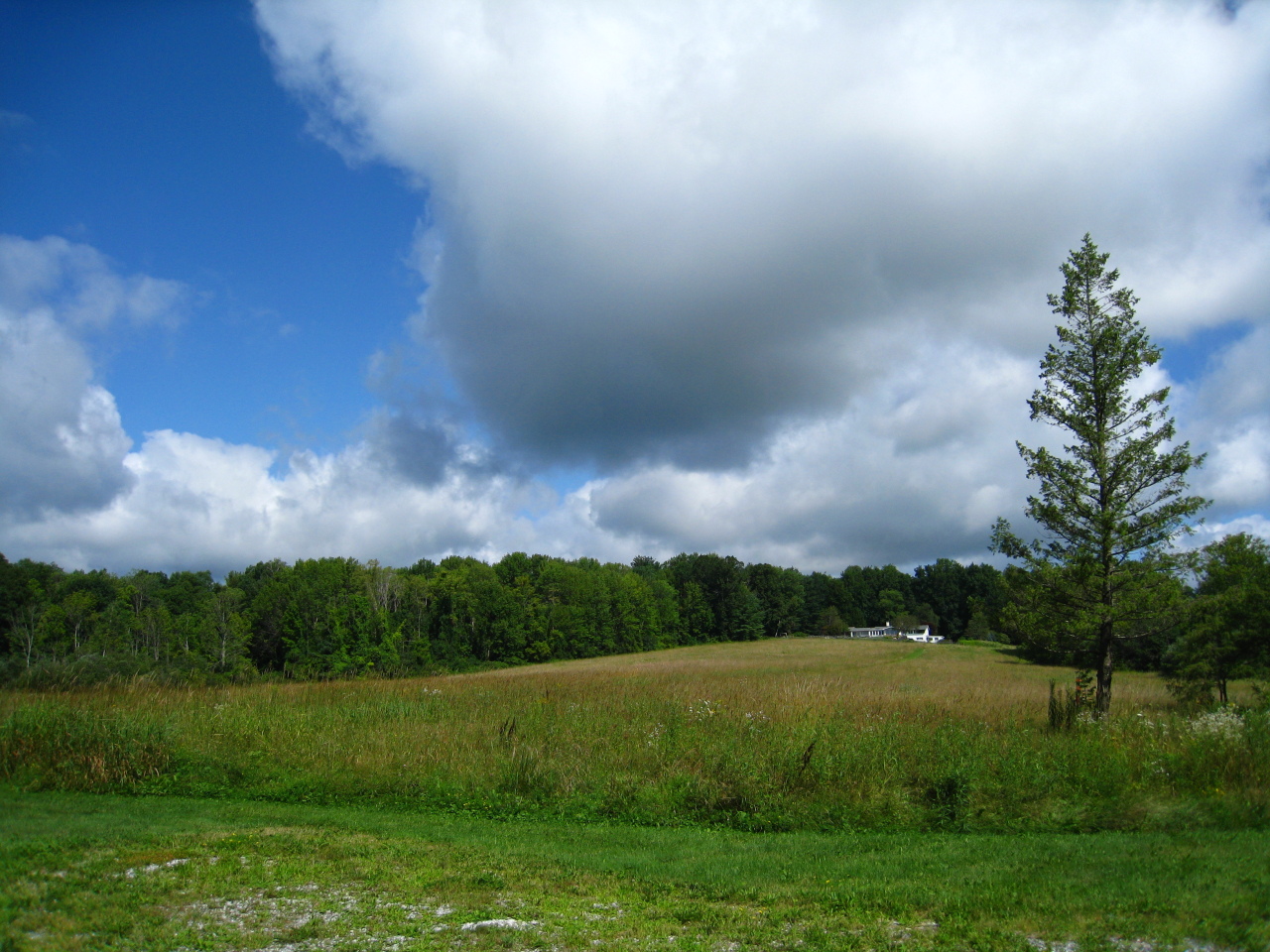 1730 State Road Richmond, MA 01254 - Photo 22 of 37 a view of a lake with a big yard