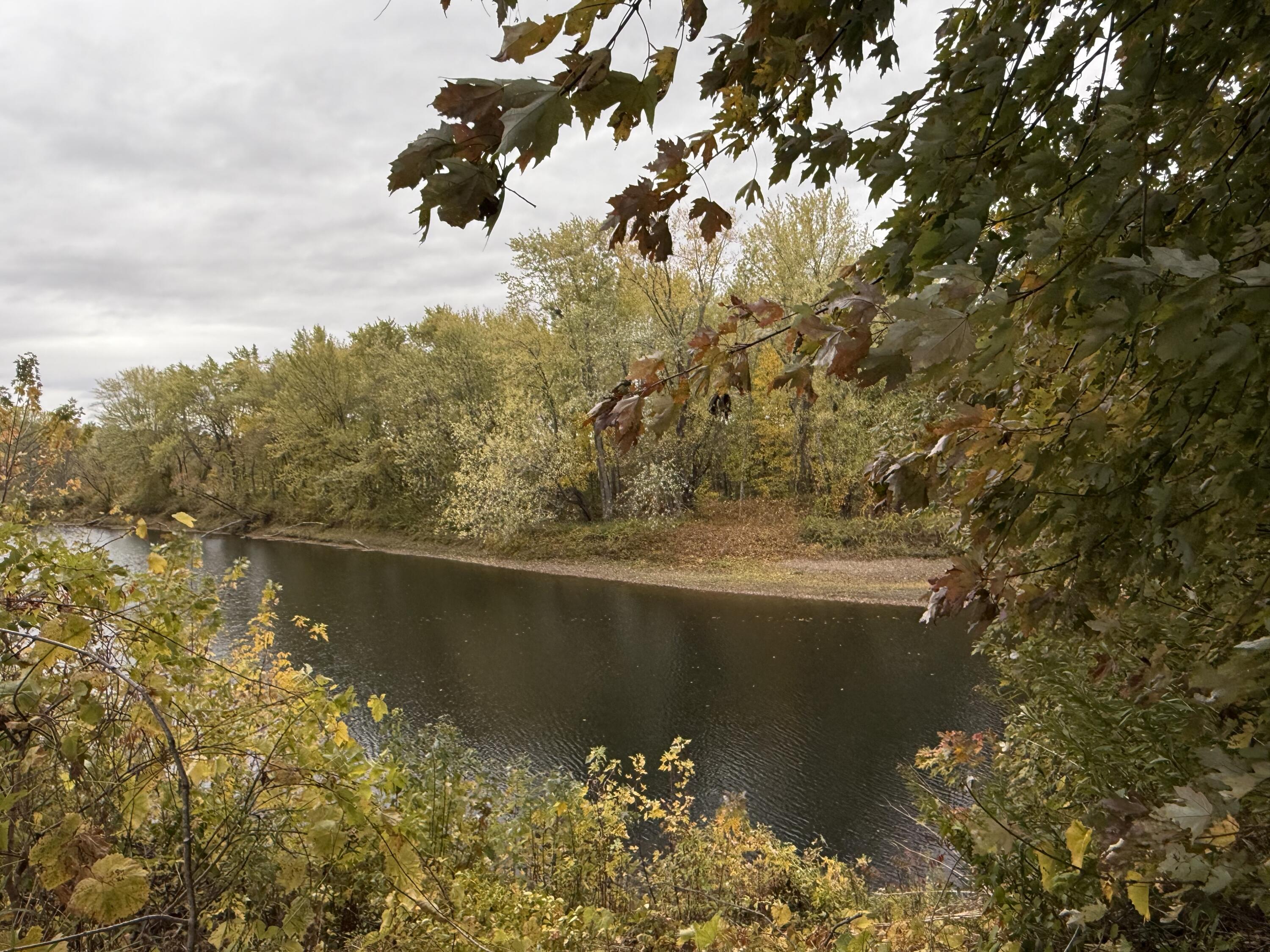 139 Croswell Road Farmington, ME 04938 - Photo 18 of 45 IMG_8336