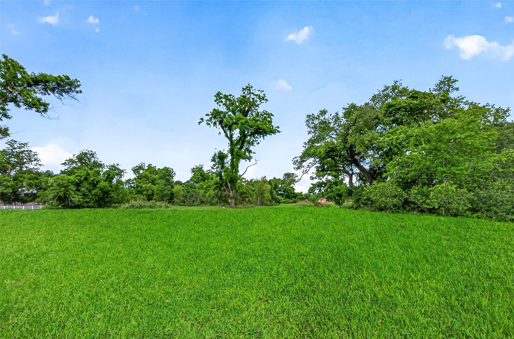 3526 Tankersley Circle Rosharon, TX 77583 - Photo 36 of 37