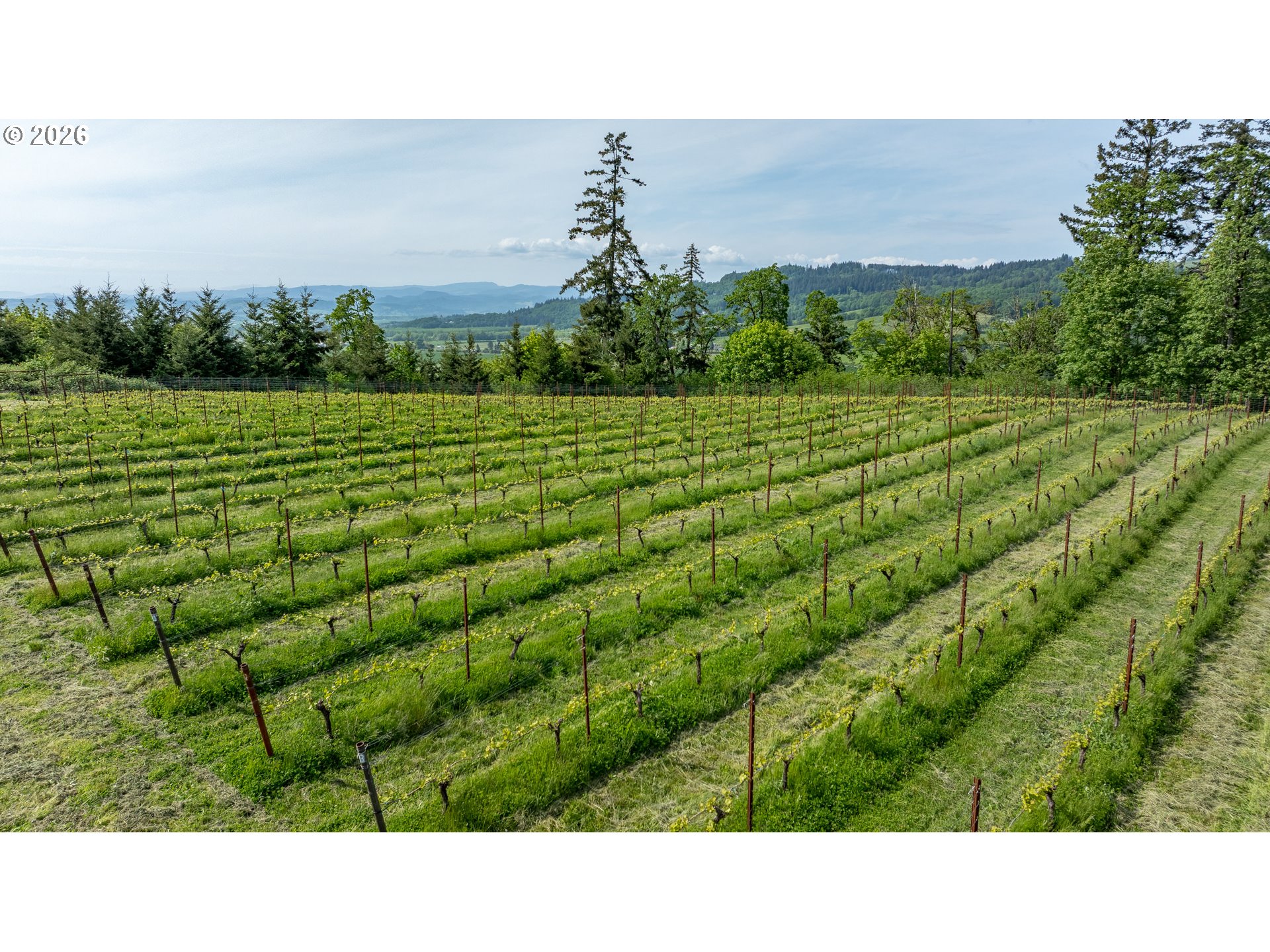6850 Southeast Eola Hills Road Amity, OR 97101 - Photo 10 of 46