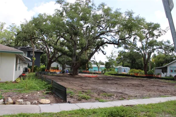 a view of a yard with plants and a large tree