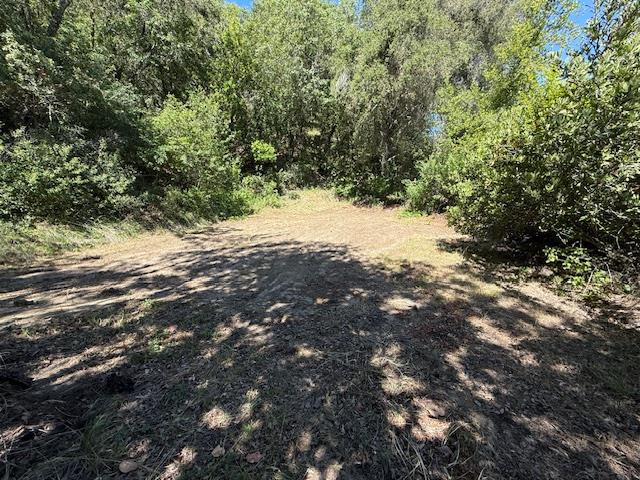 14056 Uvas Road Morgan Hill, CA 95037 - Photo 6 of 24