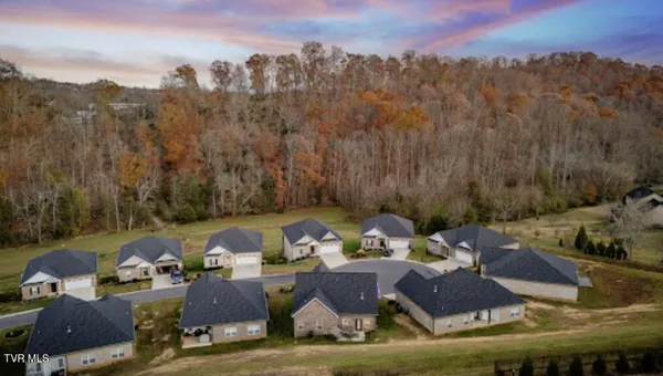 $468,900 | 226 Quiet Stroll Lane, Gray, TN 37615