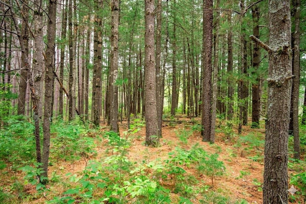 N10596 Lakeside Court Necedah, WI 54646 - Photo 26 of 69