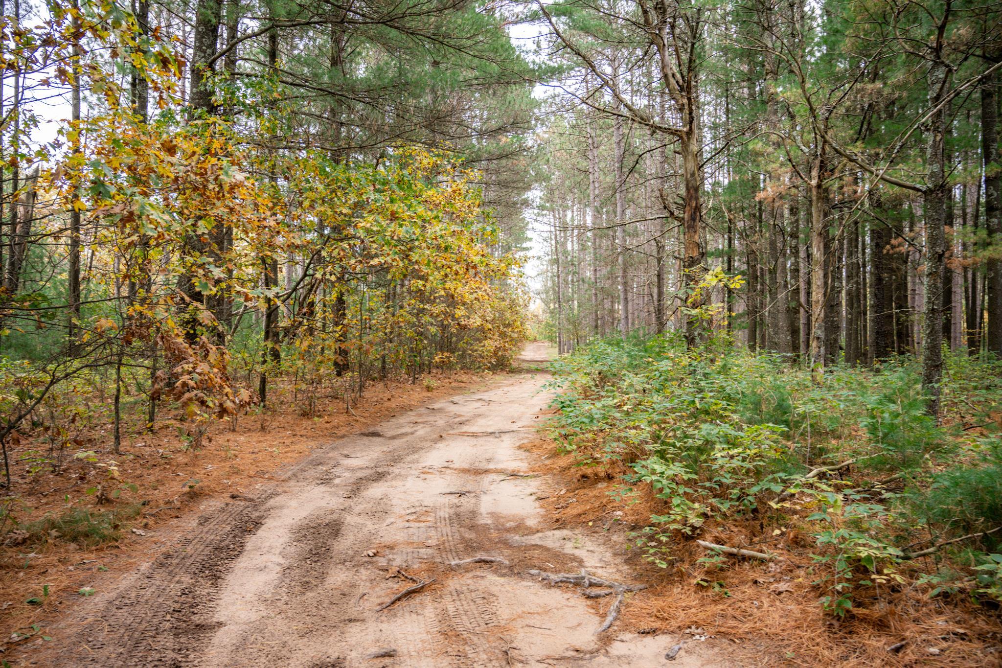 N10596 Lakeside Court Necedah, WI 54646 - Photo 26 of 71