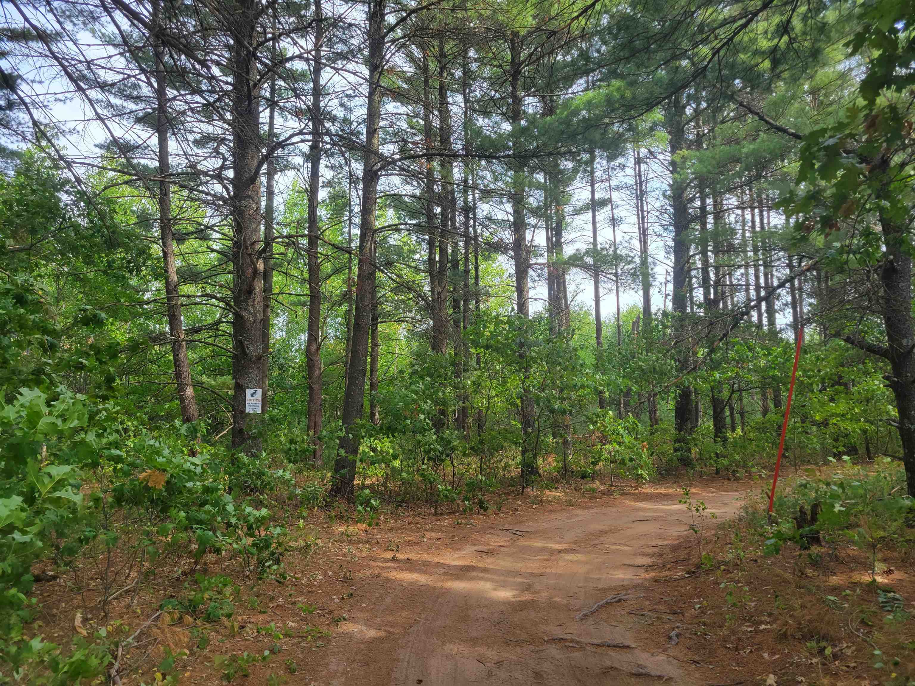 N10596 Lakeside Court Necedah, WI 54646 - Photo 27 of 71