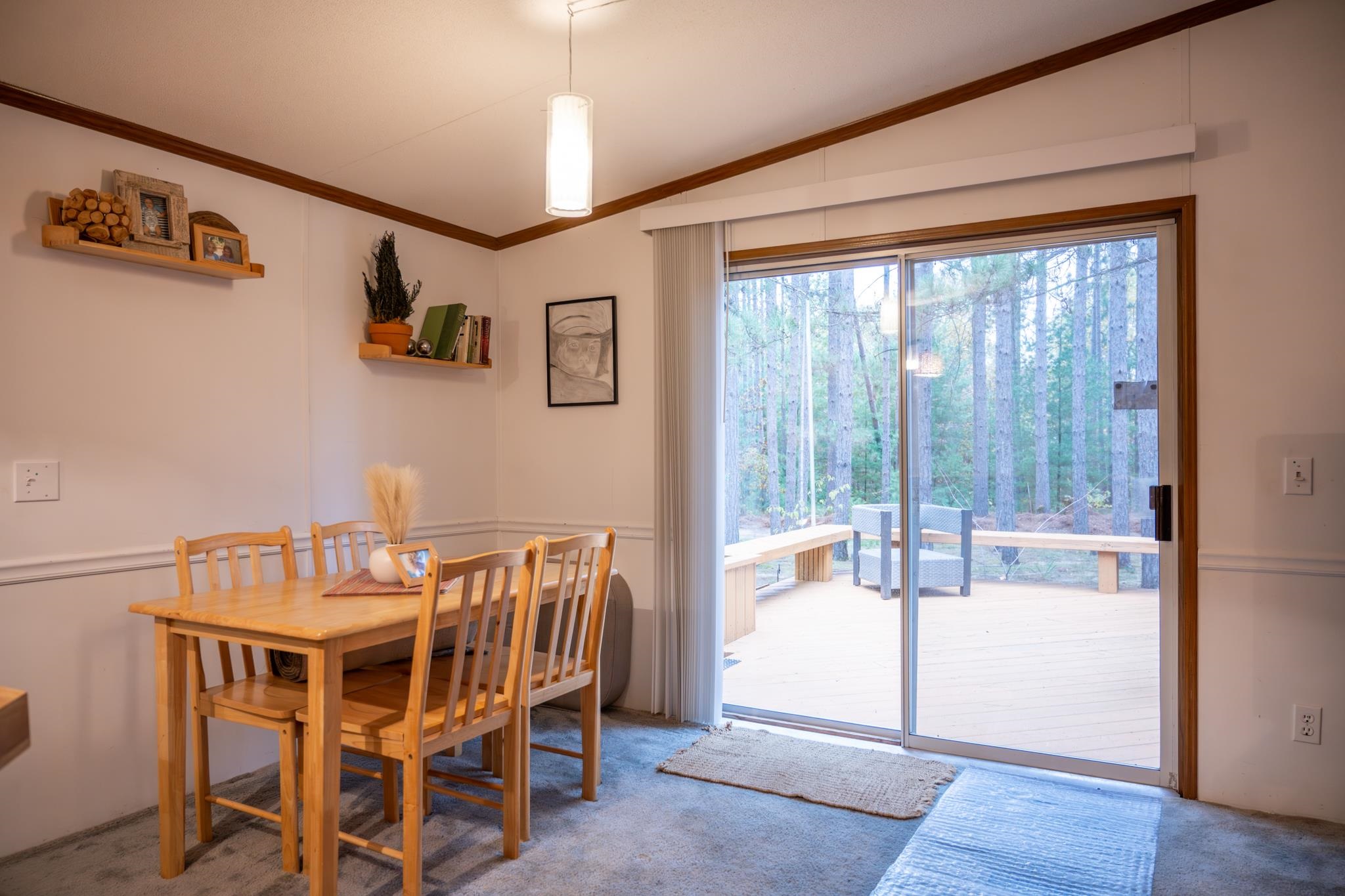 N10596 Lakeside Court Necedah, WI 54646 - Photo 39 of 71