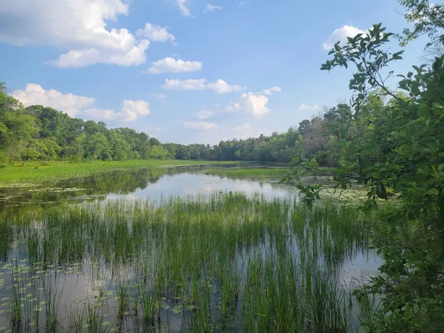 $275,000 | N10596 Lakeside Court, Necedah, WI 54646