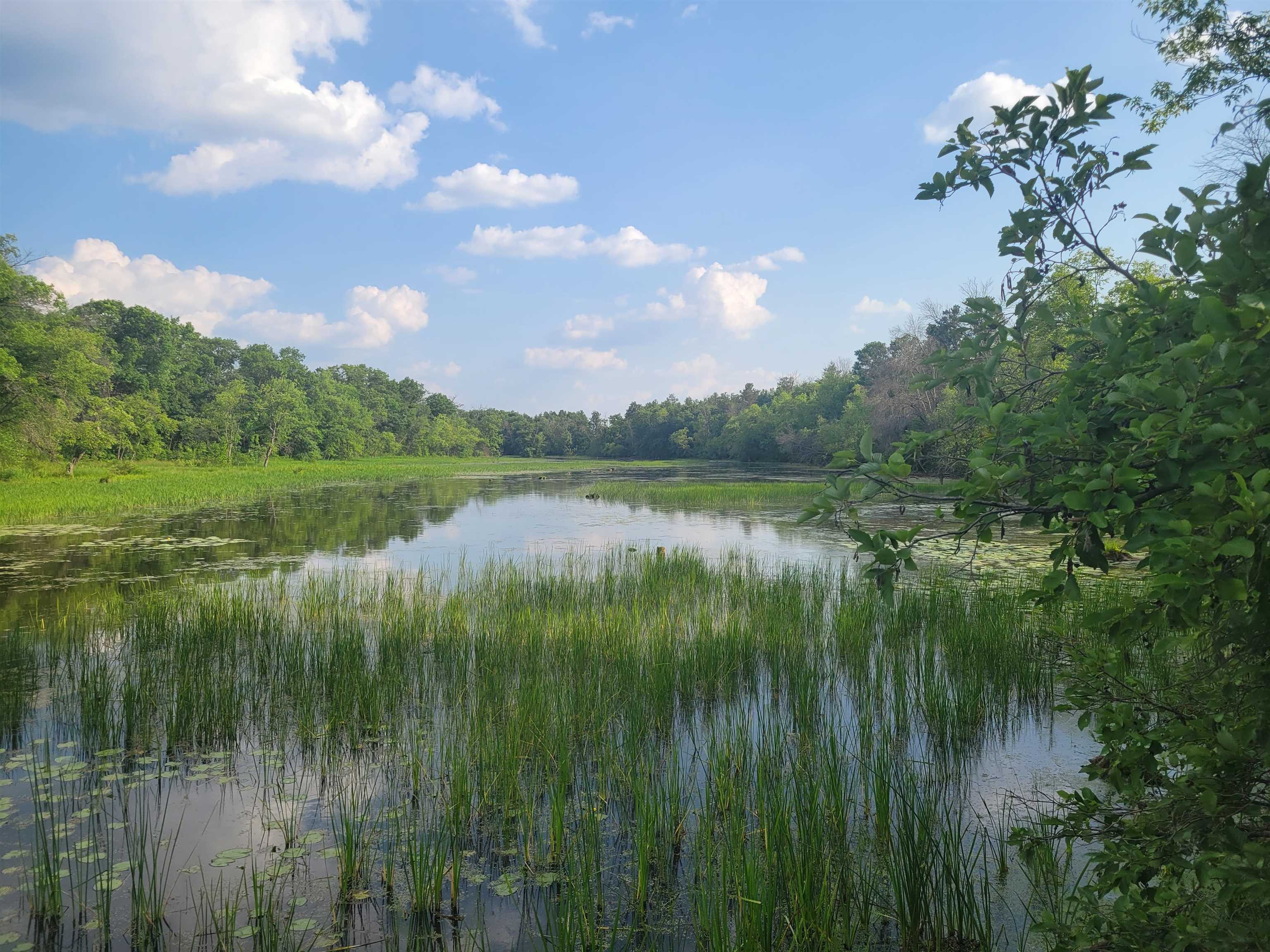 N10596 Lakeside Court Necedah, WI 54646 - Photo 55 of 71