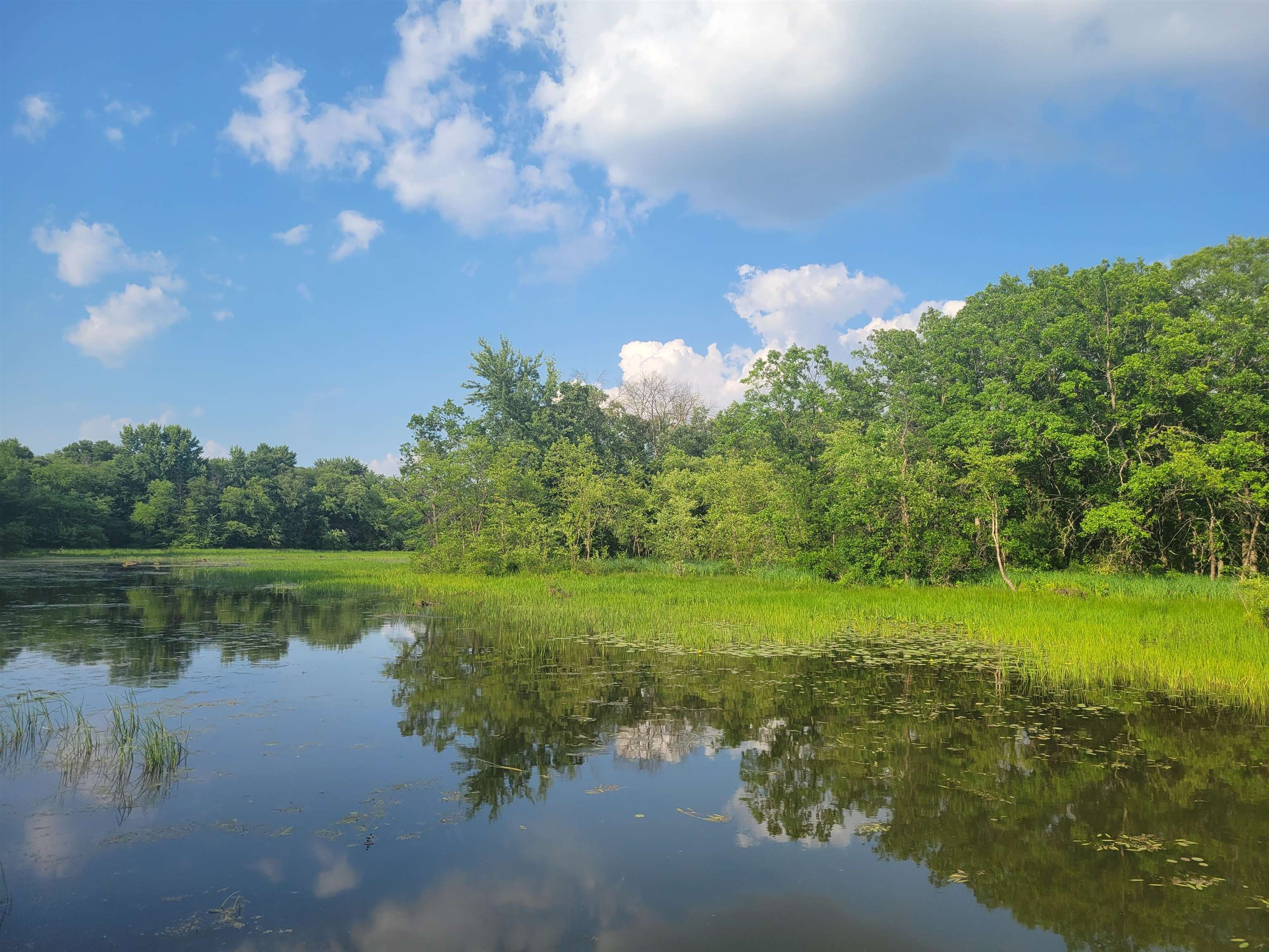 N10596 Lakeside Court Necedah, WI 54646 - Photo 56 of 69