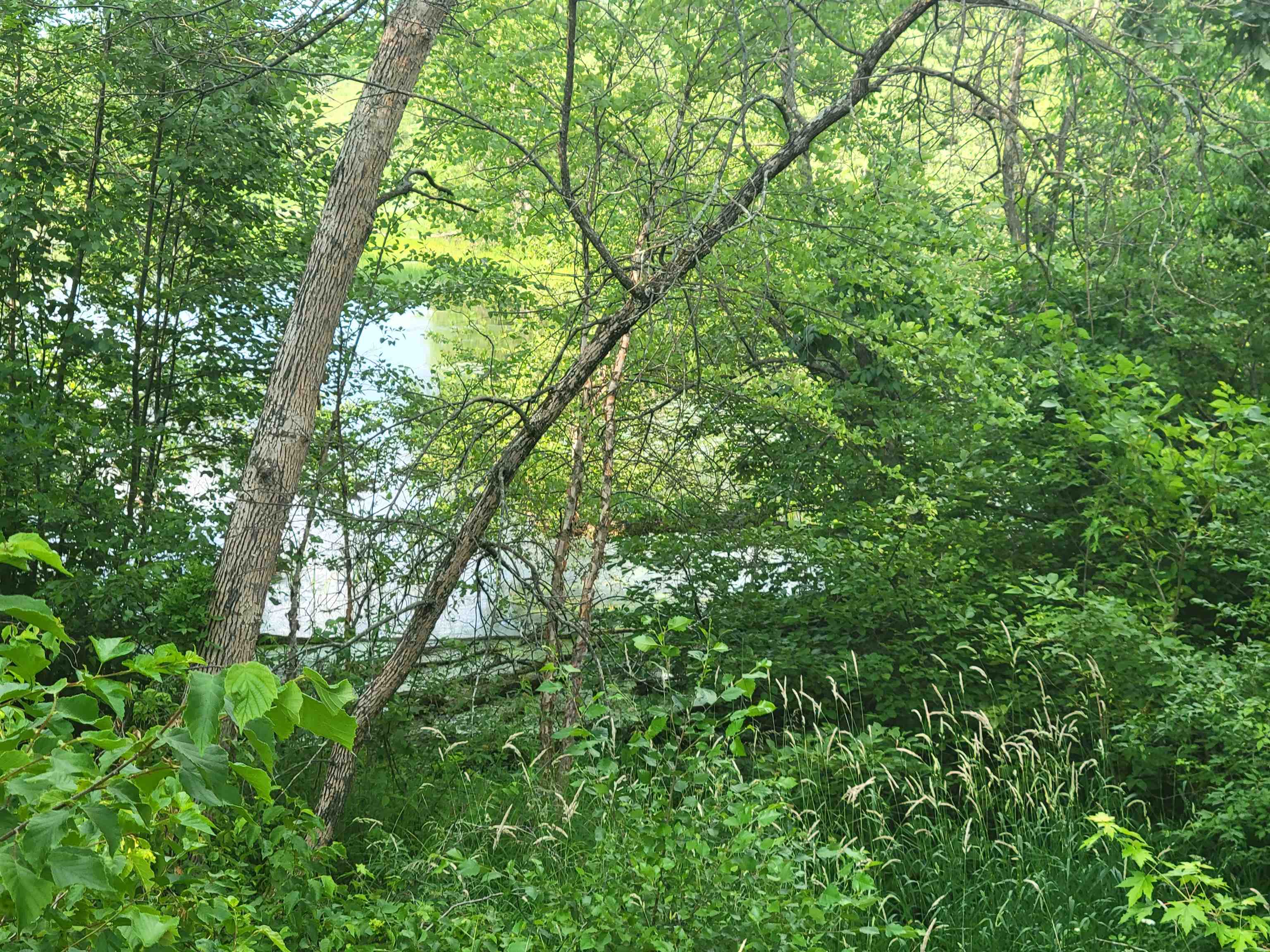 N10596 Lakeside Court Necedah, WI 54646 - Photo 56 of 71