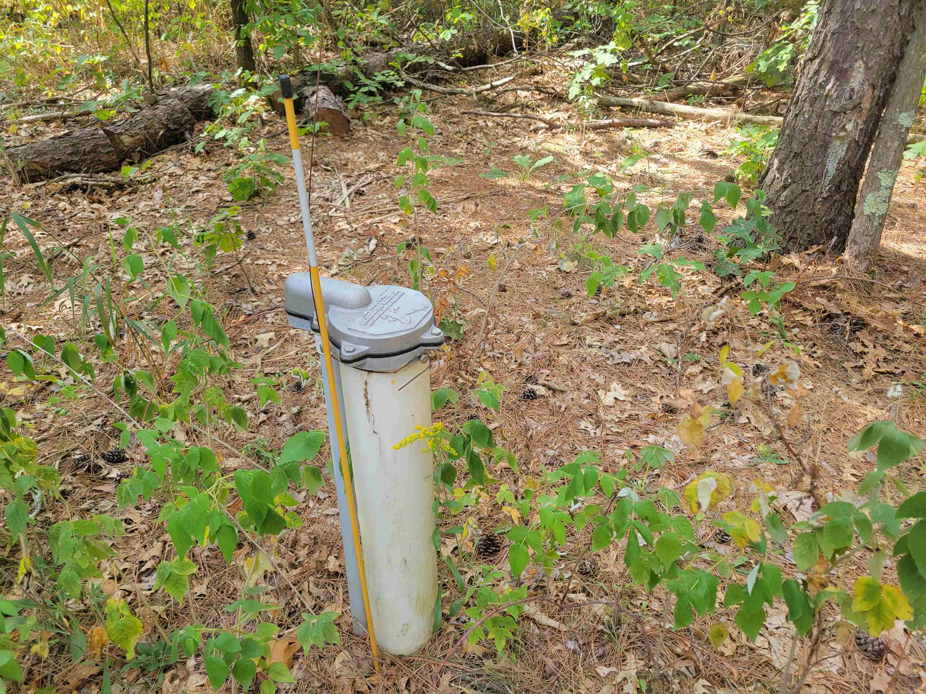 N10596 Lakeside Court Necedah, WI 54646 - Photo 58 of 71