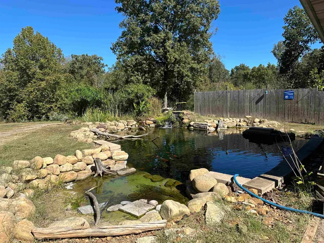 a lake view with boat and palm trees