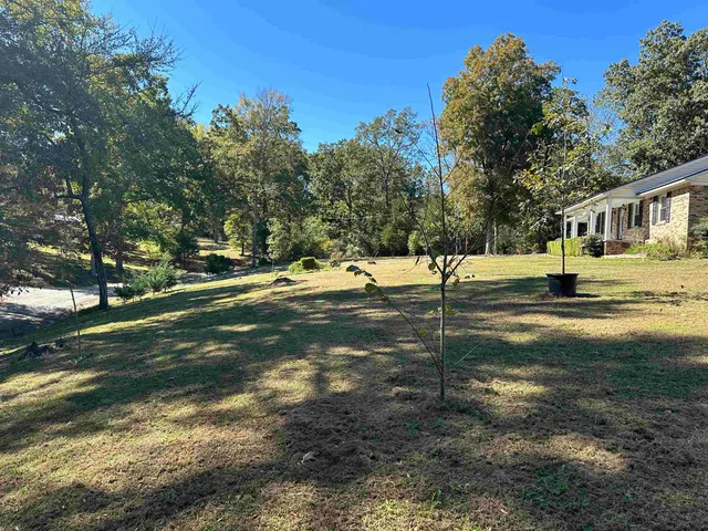 a view of a yard with plants