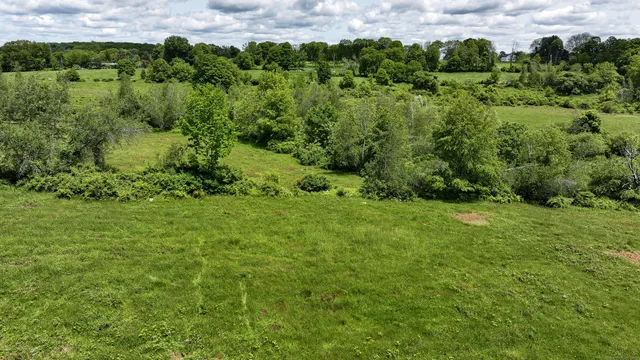 a view of a green field with lots of bushes