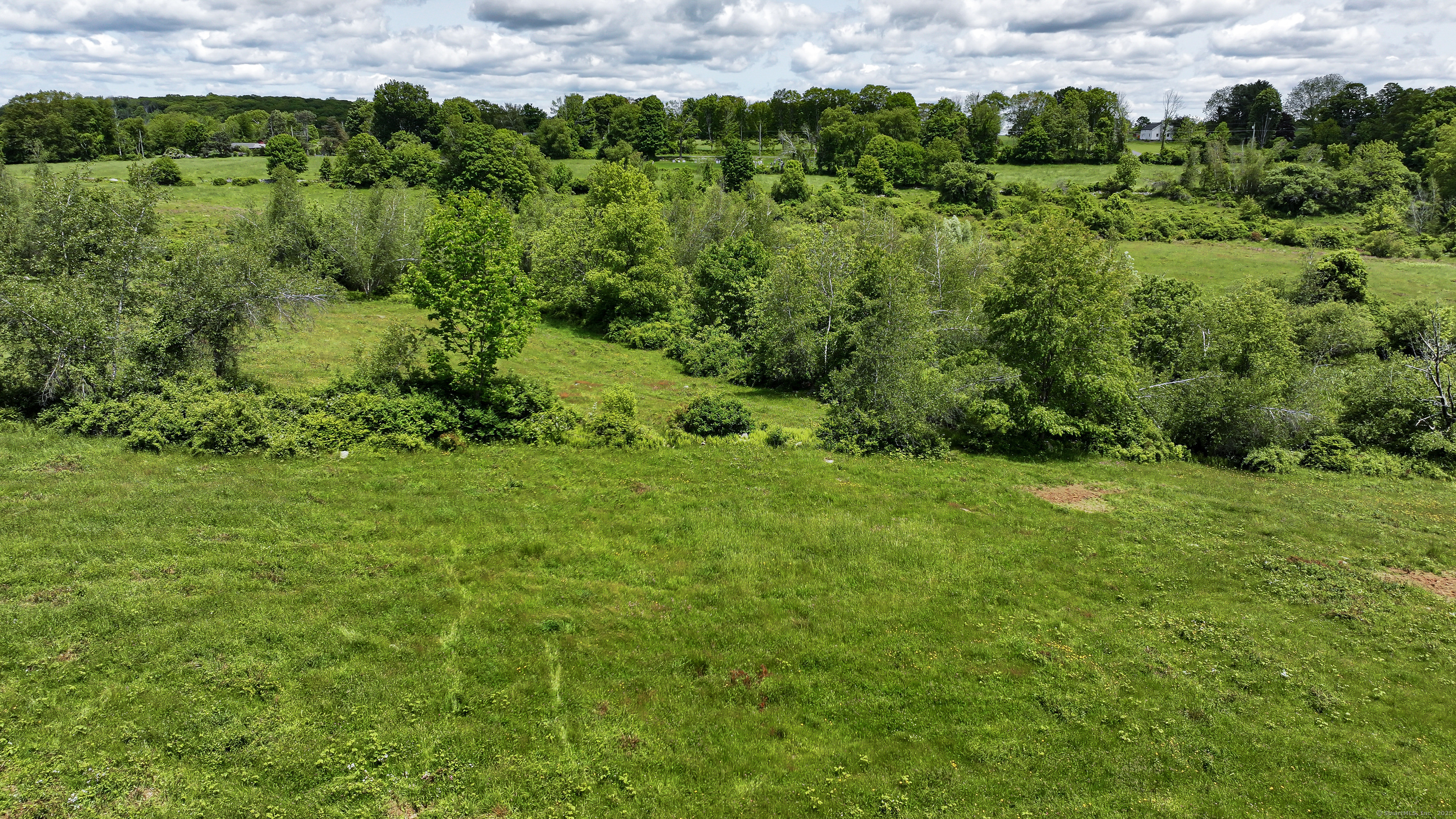 a view of a green field with lots of bushes