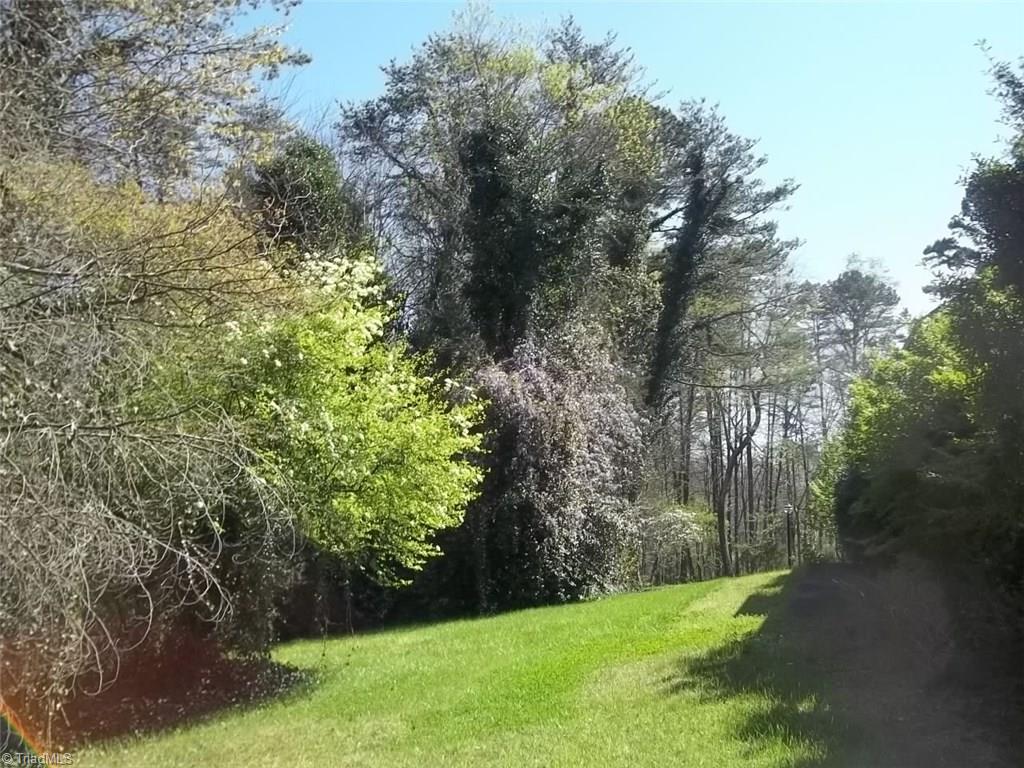 488 Mt Zion Road Pinnacle, NC 27043 - Photo 21 of 29