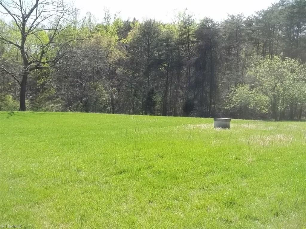 488 Mt Zion Road Pinnacle, NC 27043 - Photo 28 of 29