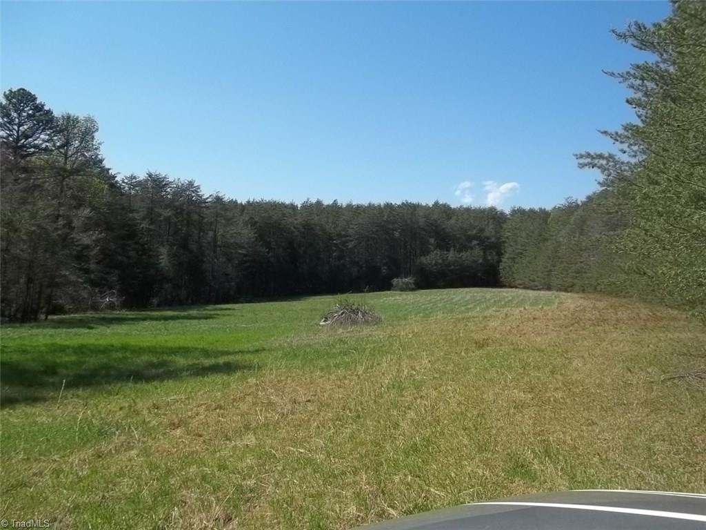 488 Mt Zion Road Pinnacle, NC 27043 - Photo 29 of 29