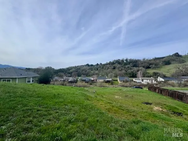a view of a big yard with large trees