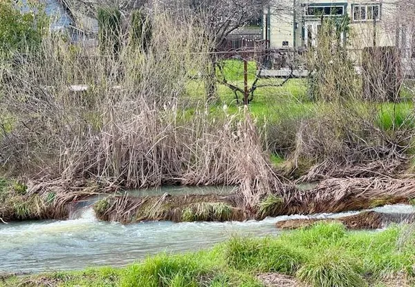 a view of backyard with wooden fence